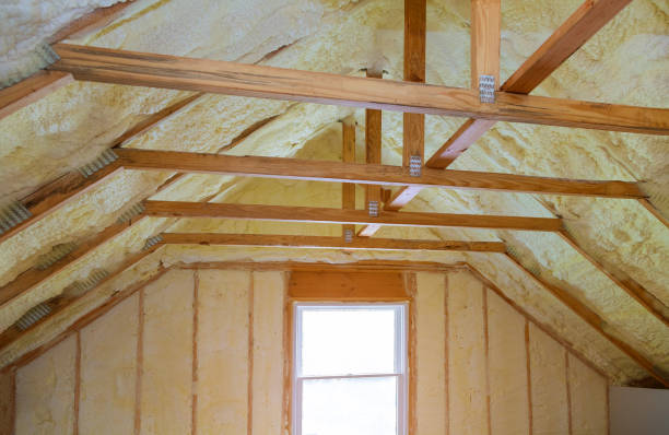 Best Home Insulation Services  in Osawatomie, KS