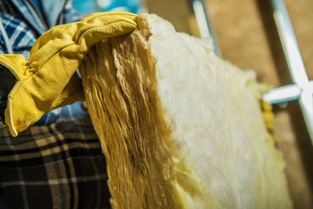 Best Affordable Insulation Services  in Osawatomie, KS