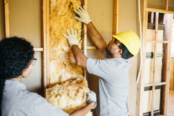 Insulation Repair Services in Osawatomie, KS