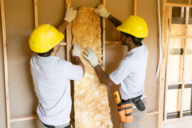 Insulation Inspection Services in Osawatomie, KS